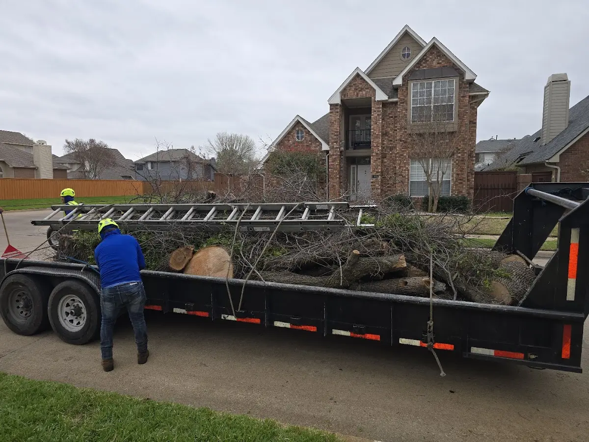 Expert Tree Fertilization with proper safety equipment in Munfordville